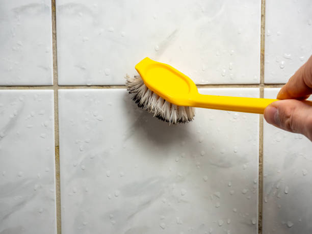 Home Mold Removal in Yeagertown, PA