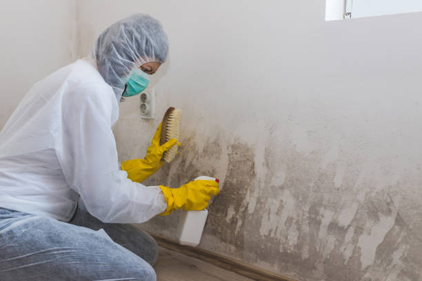 Best Professional Mold Removal  in Yeagertown, PA