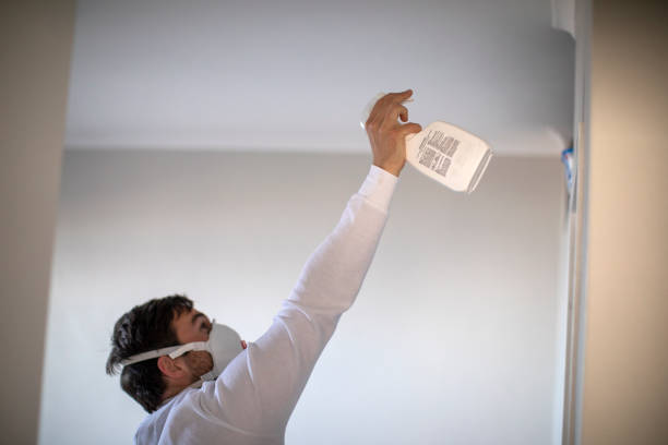 Best Affordable Mold Removal  in Yeagertown, PA