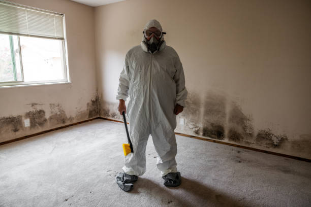 Best Local Mold Removal Service  in Yeagertown, PA