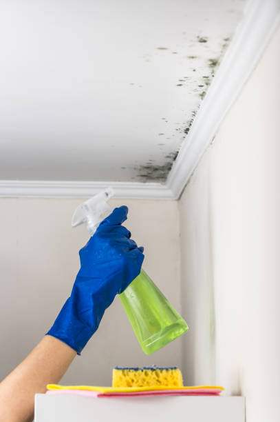 Best Office Mold Removal Services  in Yeagertown, PA